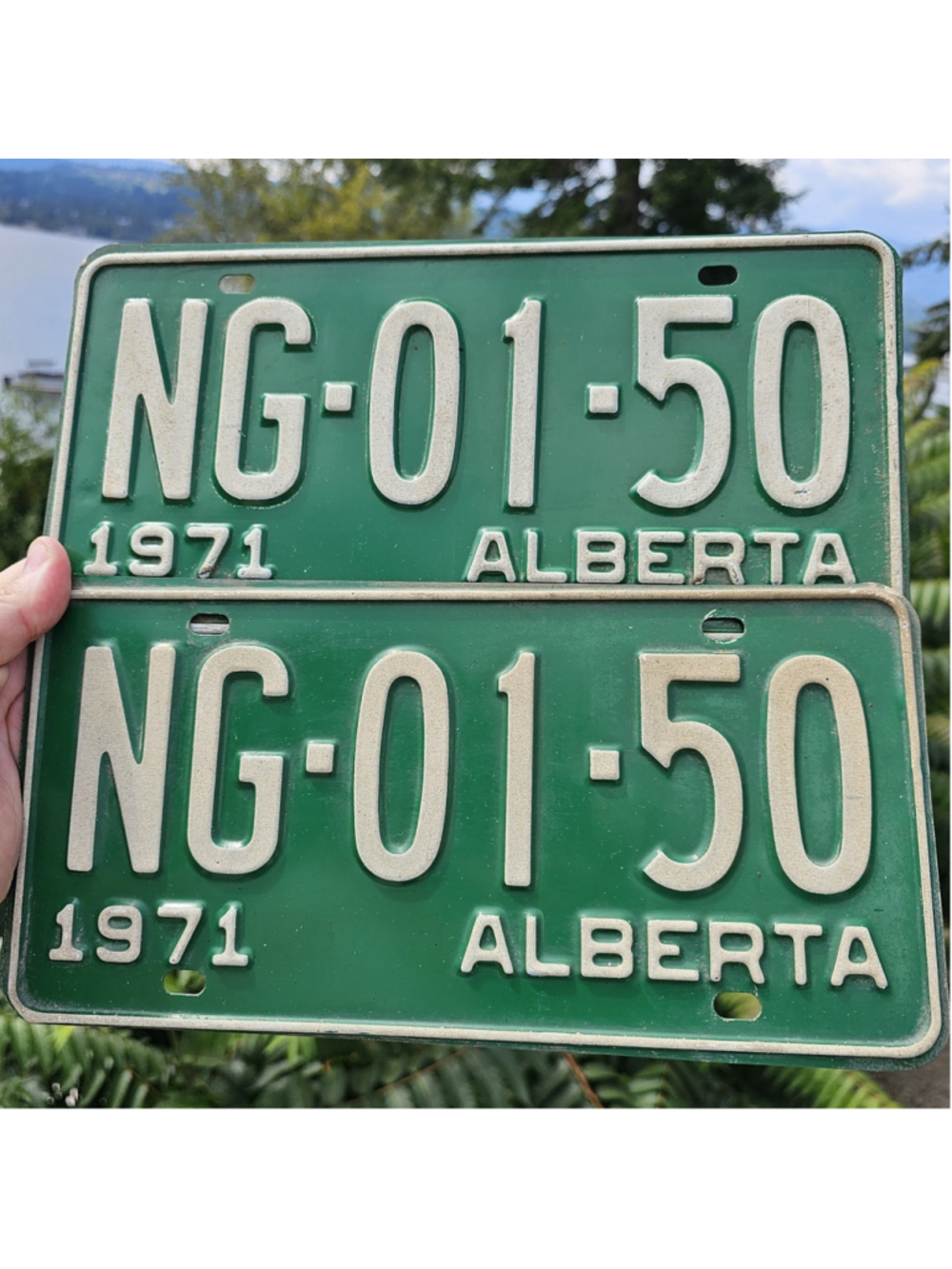 1971 Alberta License Plate Pair NG-01-50 Matching Set Vintage Canada Green